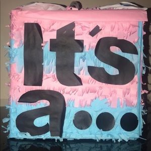 Baby Gender Reveal Pull String or Piñata